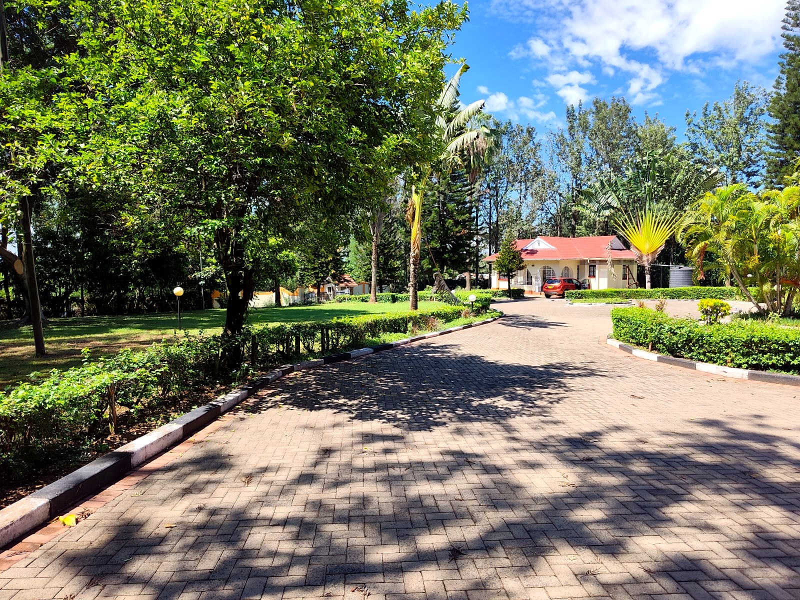 Tree-lined paved driveway through the compound
