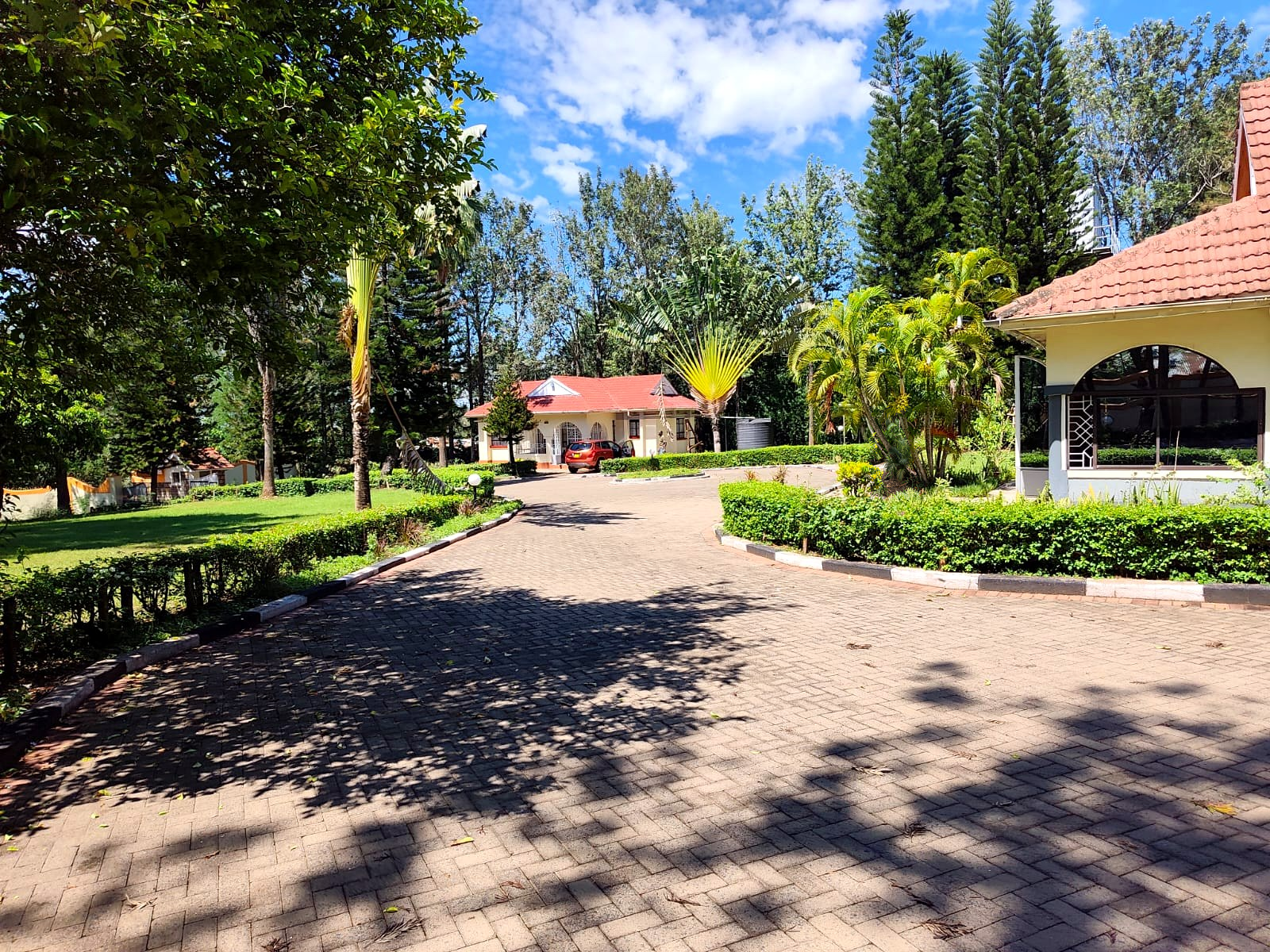 Hedged driveway and planting under blue sky